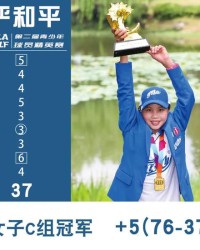  沃尔夫斯堡主场灯光故障延期比赛  